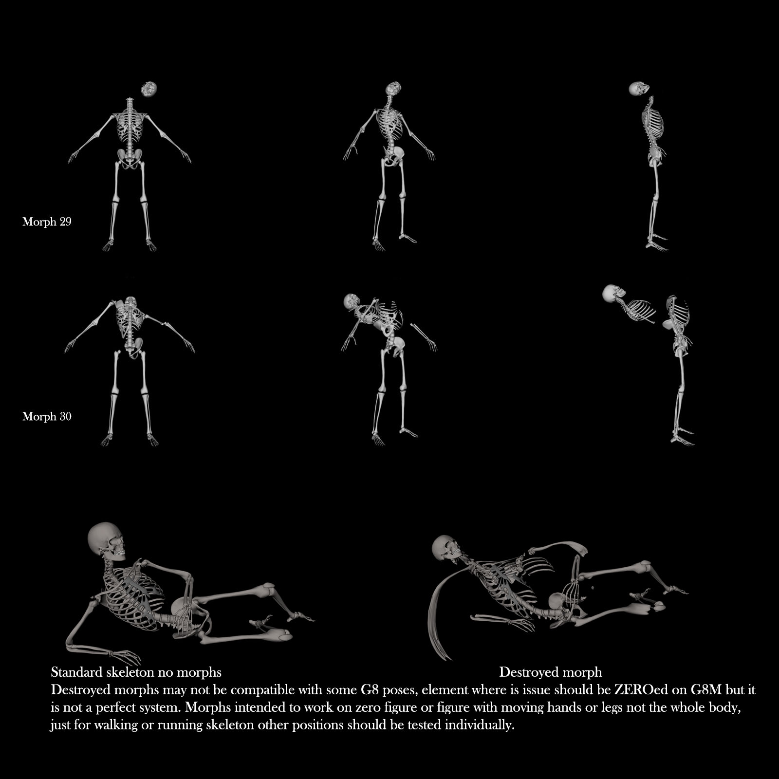 Skeleton G8M Destroyed Morphs by N/A