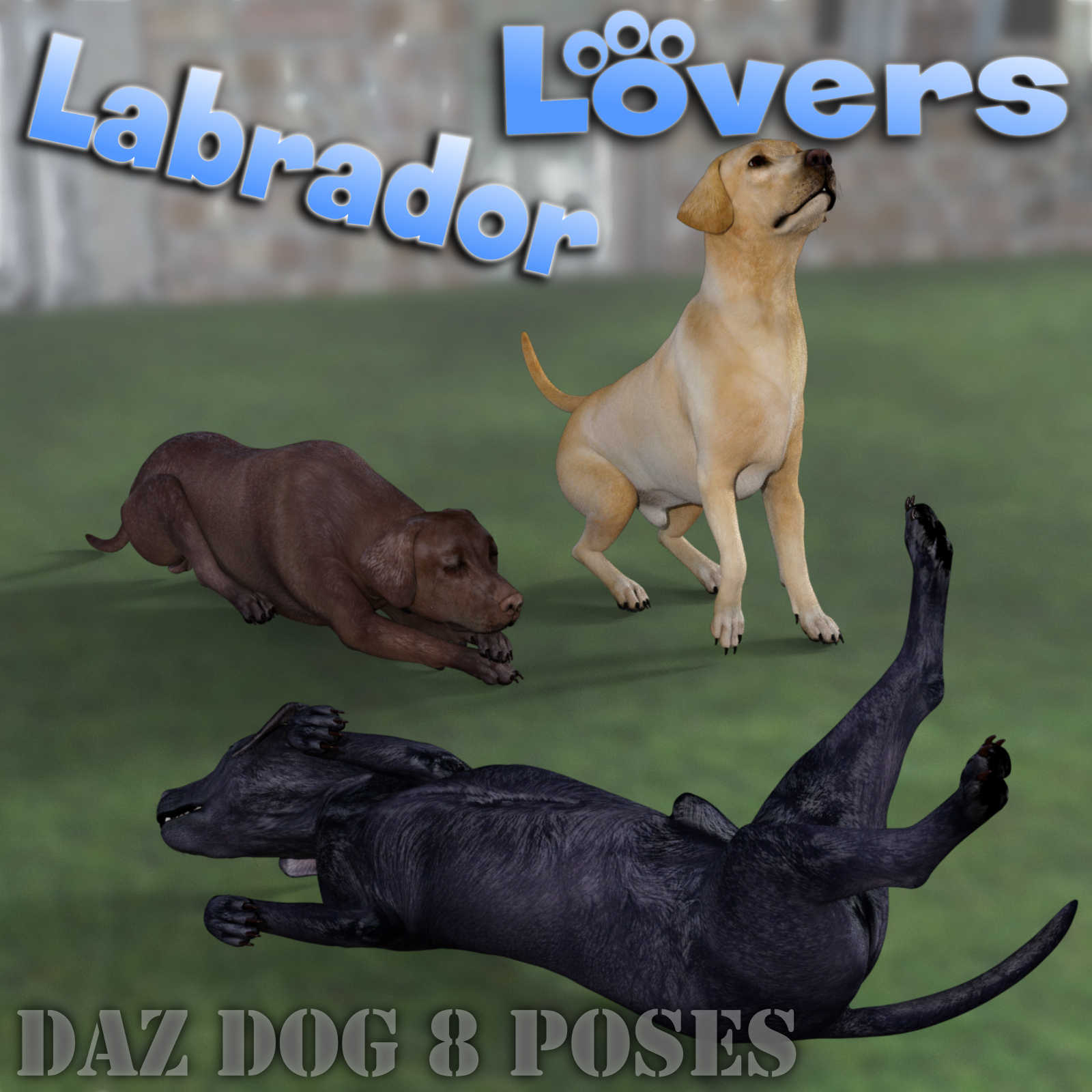 LABRADOR Lovers Poses for Labrador Breed by N/A