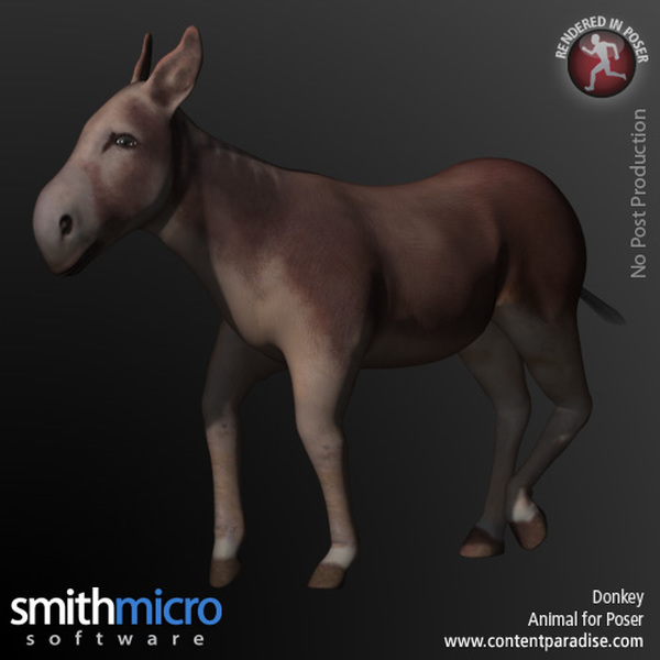 Donkey by N/A