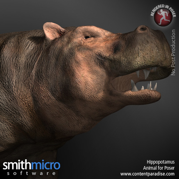 Hippopotamus by N/A