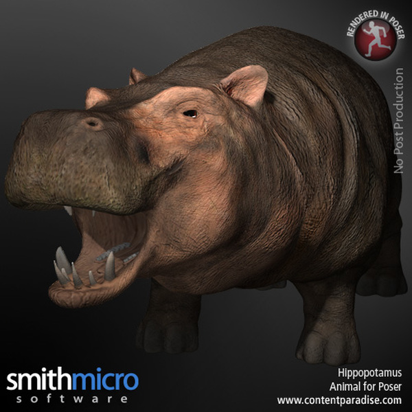 Hippopotamus by N/A
