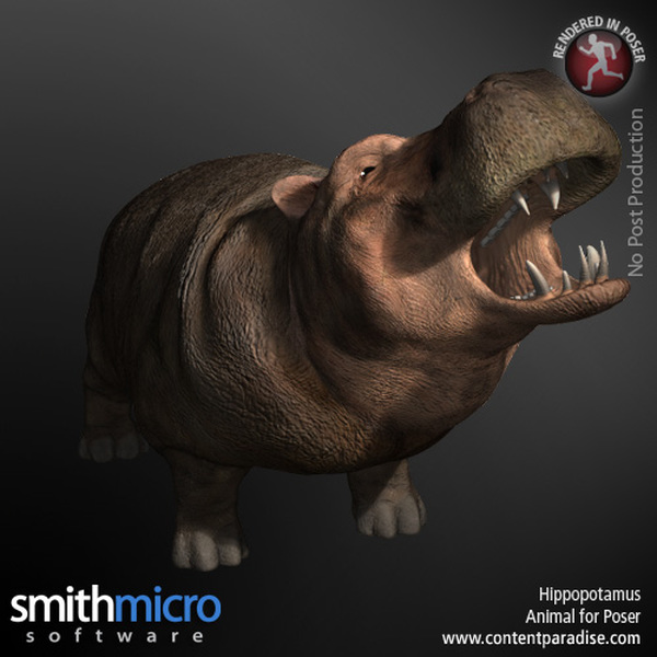 Hippopotamus by N/A