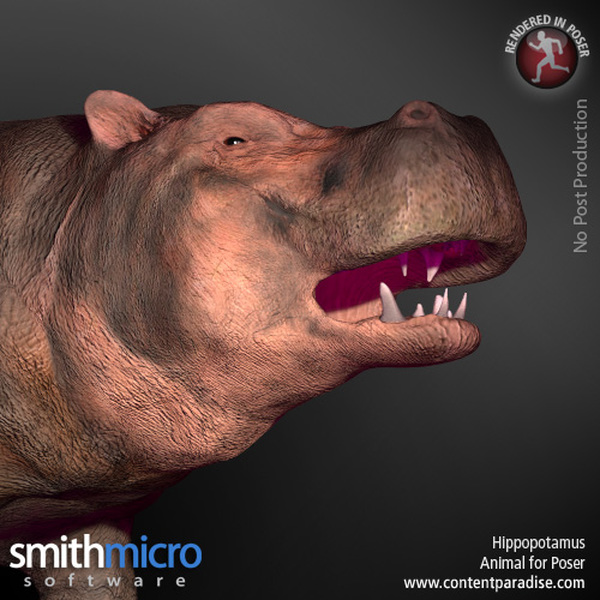 Hippopotamus by N/A