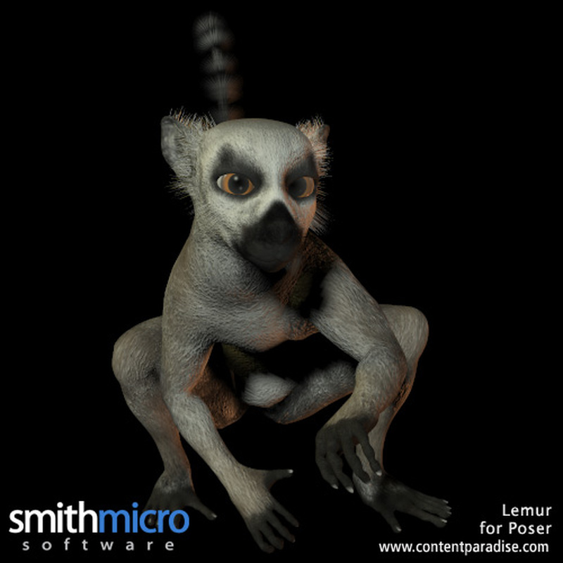 Ring Tailed Lemur by N/A