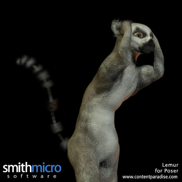Ring Tailed Lemur by N/A