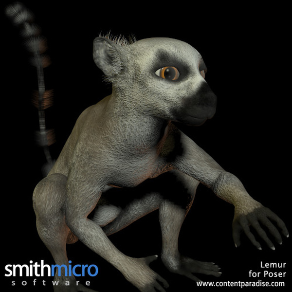 Ring Tailed Lemur by N/A
