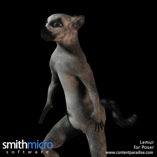 Ring Tailed Lemur by N/A