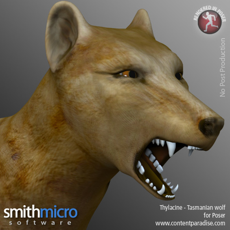 Thylacine by N/A