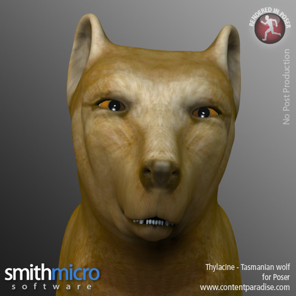 Thylacine by N/A