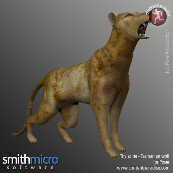 Thylacine by N/A