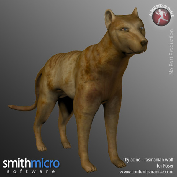 Thylacine by N/A