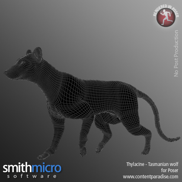 Thylacine by N/A