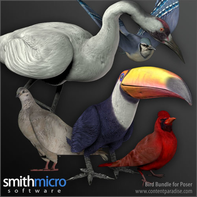 Bird Bundle by N/A