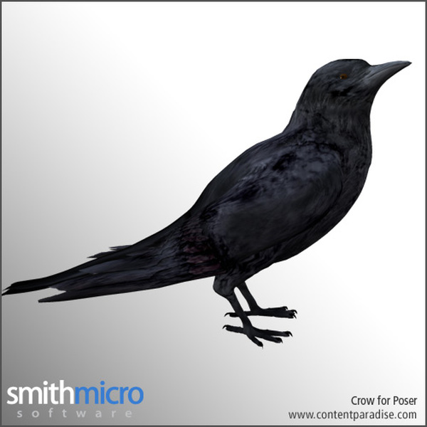 Bird Bundle by N/A