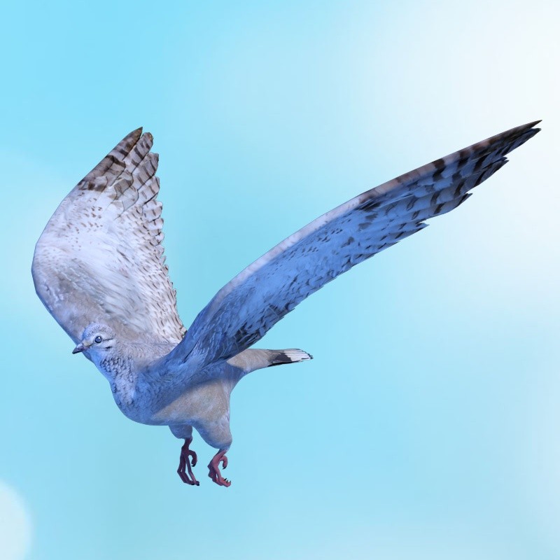 Dove by N/A