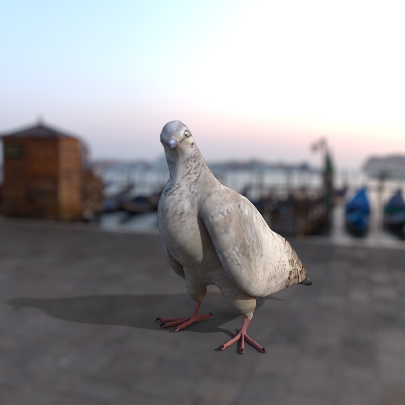 Dove by N/A