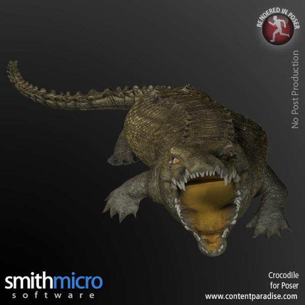 Crocodile by N/A
