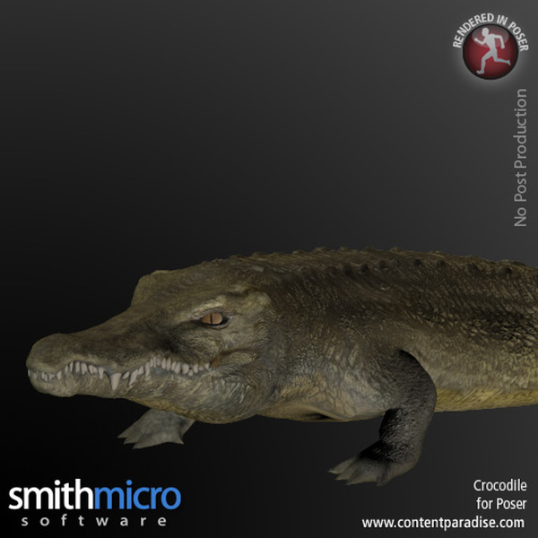 Crocodile by N/A