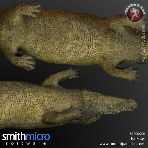 Crocodile by N/A
