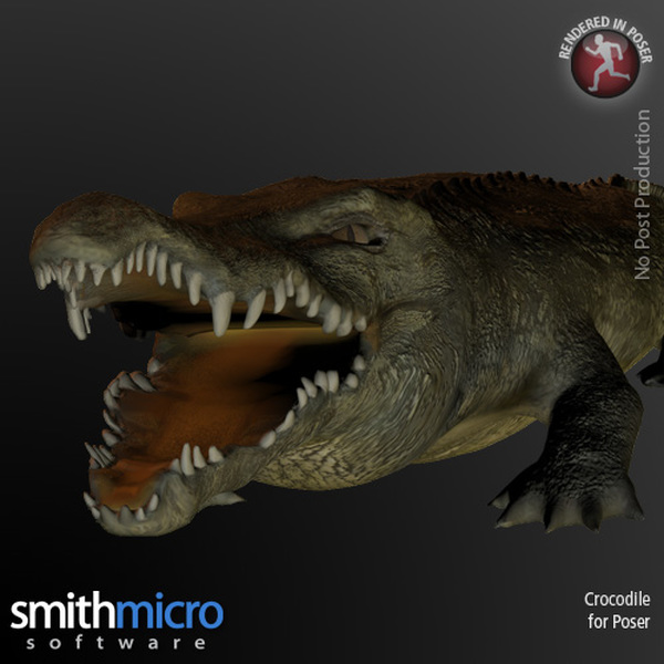 Crocodile by N/A
