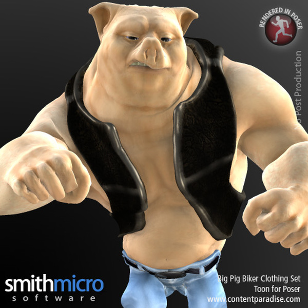 Big Pig Toon Pig Clothing Set by N/A