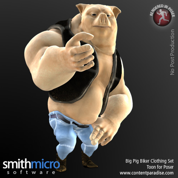 Big Pig Toon Pig Clothing Set by N/A
