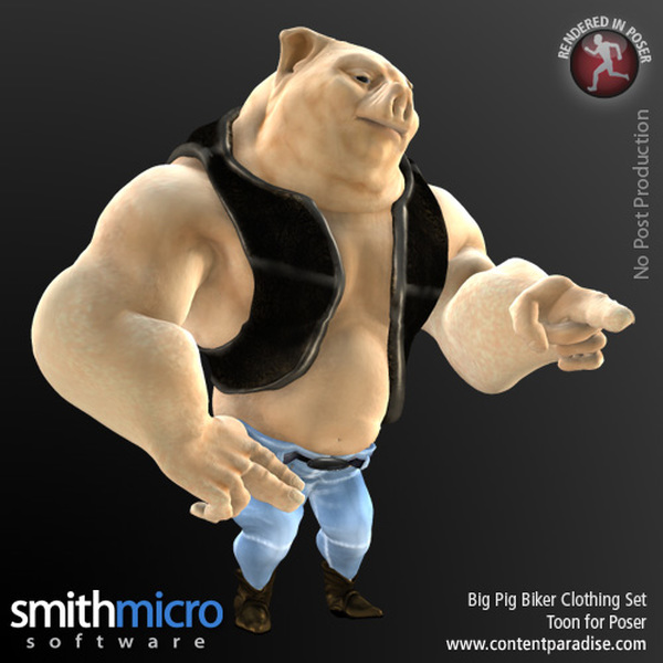 Big Pig Toon Pig Clothing Set by N/A