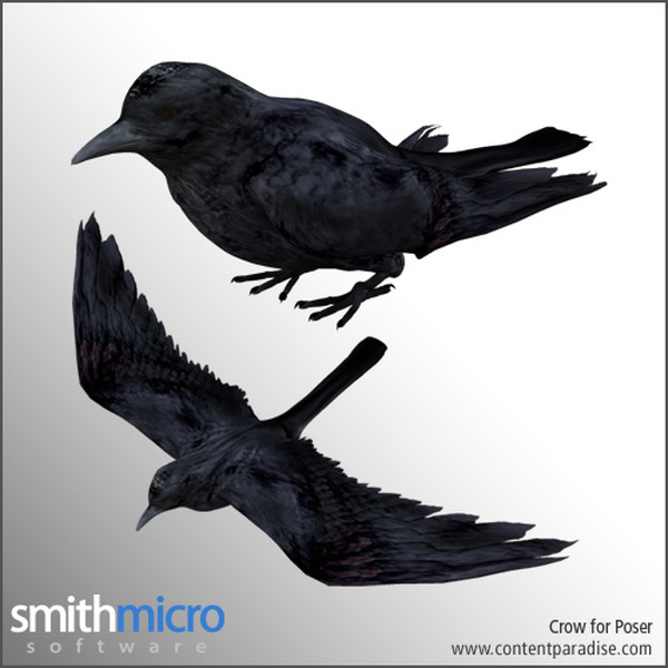Crow by N/A