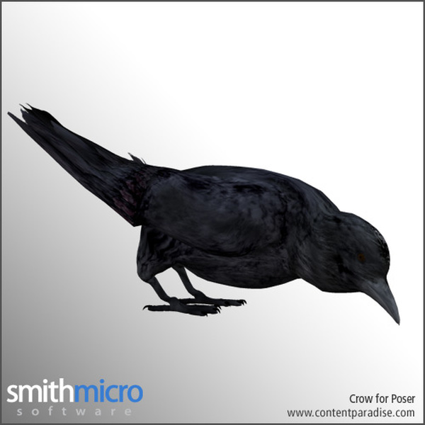 Crow by N/A