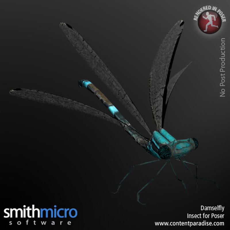 Damselfly by N/A