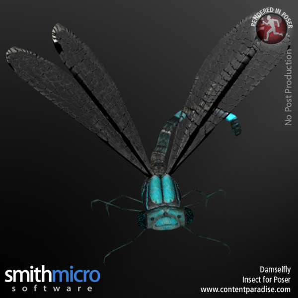 Damselfly by N/A