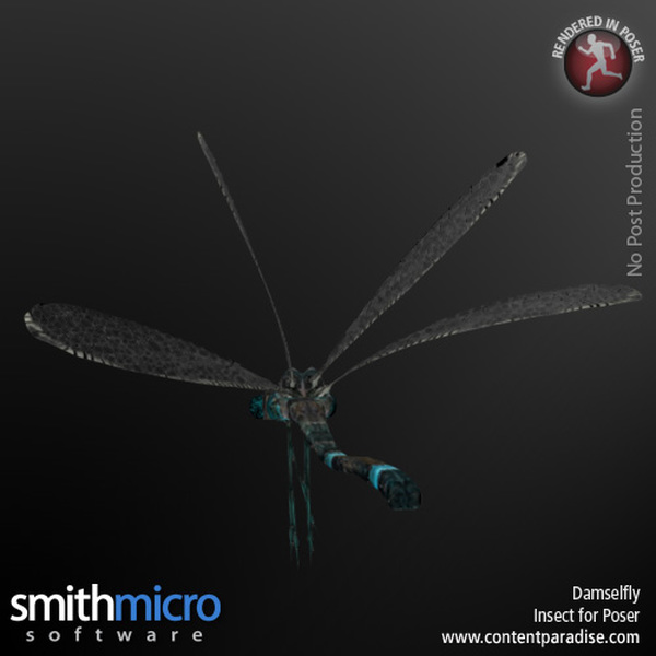 Damselfly by N/A