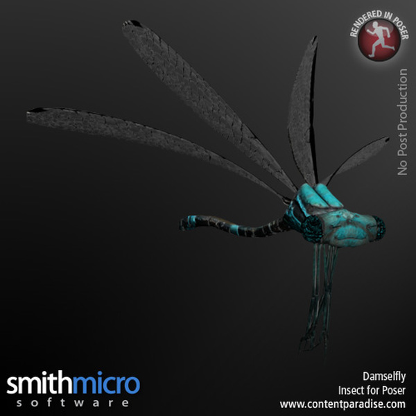 Damselfly by N/A