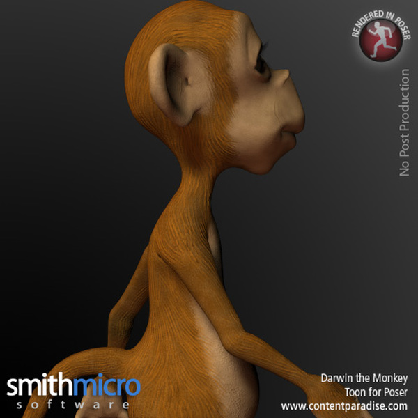 Darwin Toon Monkey by N/A