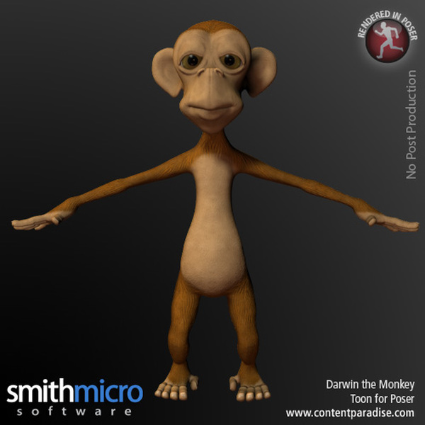Darwin Toon Monkey by N/A