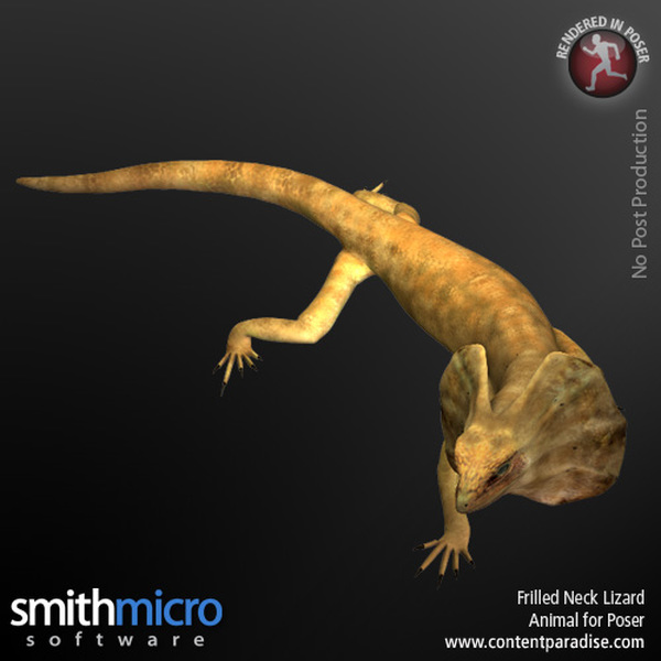 Frilled Neck Lizard by N/A