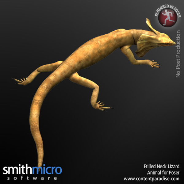 Frilled Neck Lizard by N/A