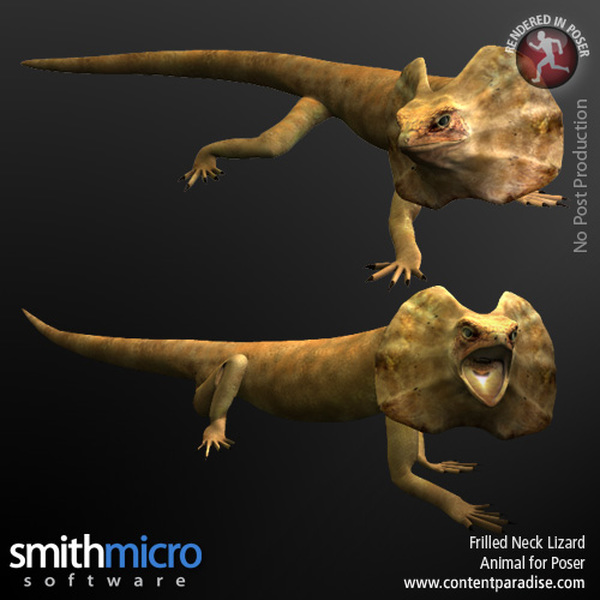Frilled Neck Lizard by N/A