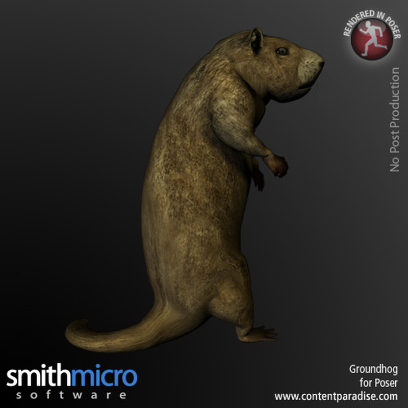 Groundhog by N/A