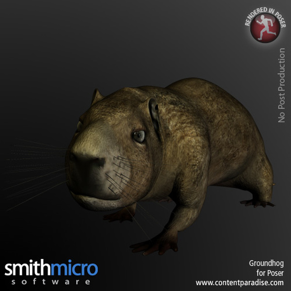 Groundhog by N/A