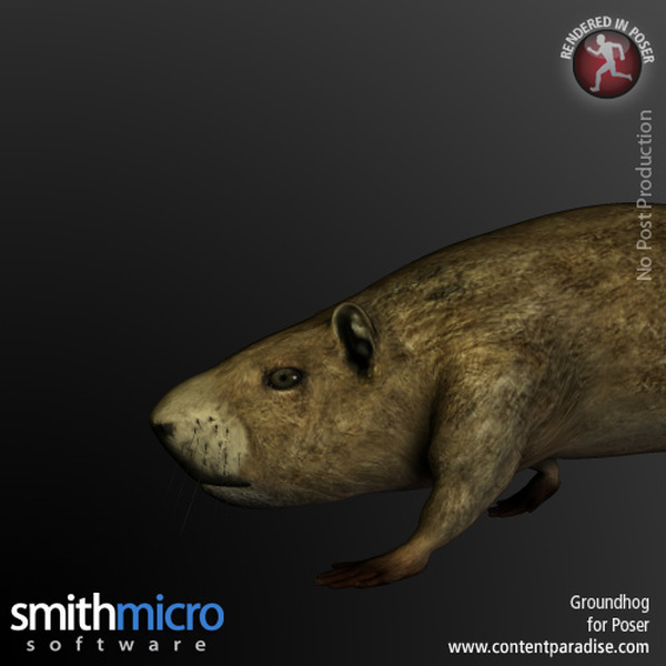 Groundhog by N/A