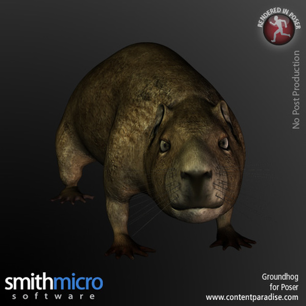 Groundhog by N/A