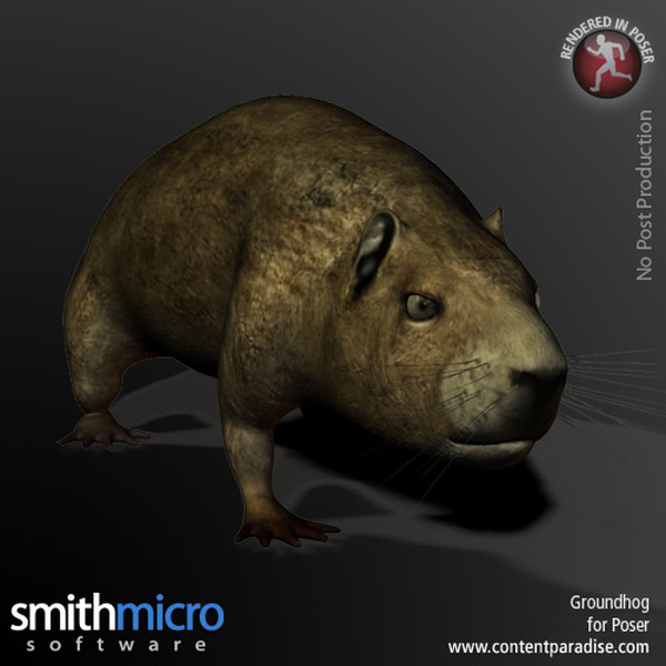 Groundhog by N/A
