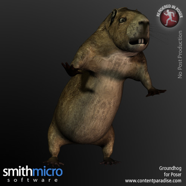 Groundhog by N/A