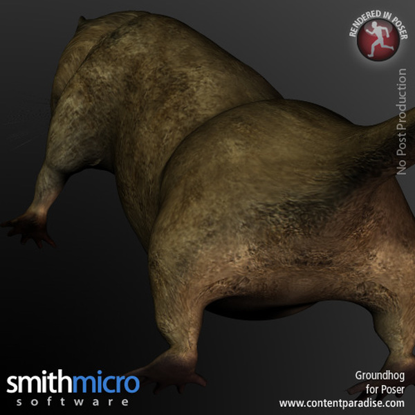 Groundhog by N/A