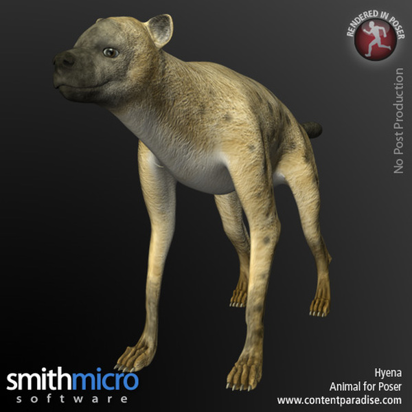 Hyena by N/A