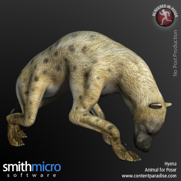 Hyena by N/A