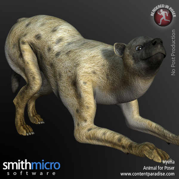 Hyena by N/A