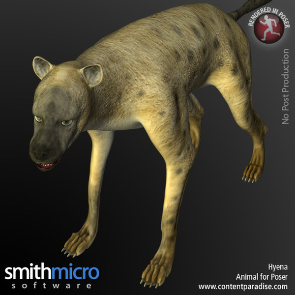 Hyena by N/A
