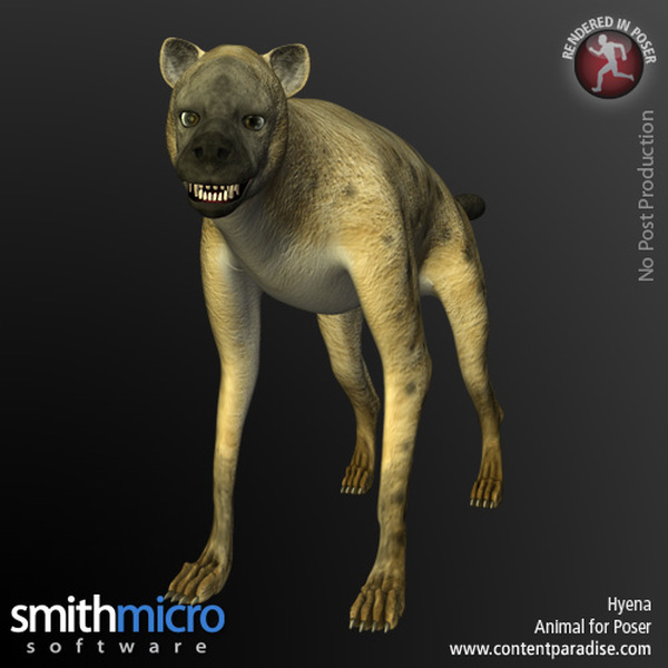 Hyena by N/A